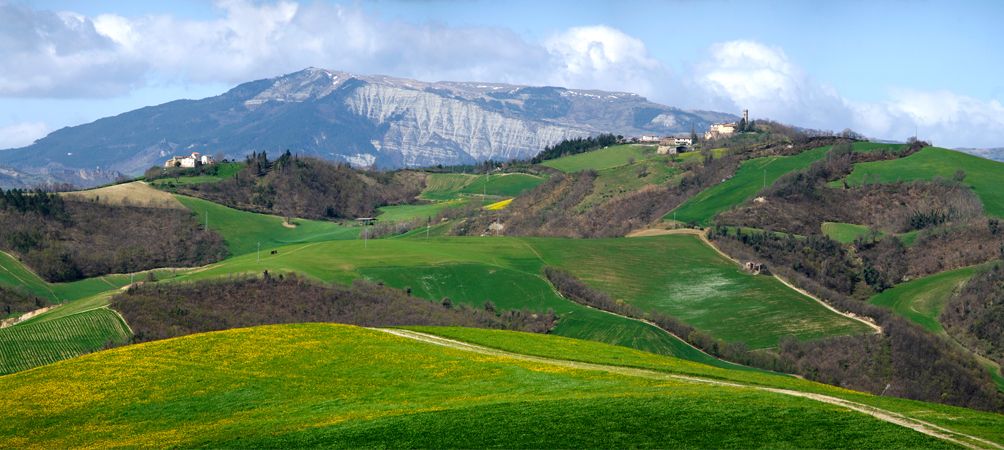 162cab35a1f9fd4965fa0b410ae6cf96_f293