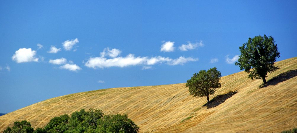 22fba2eff4989dac048bd92969e80432_f298